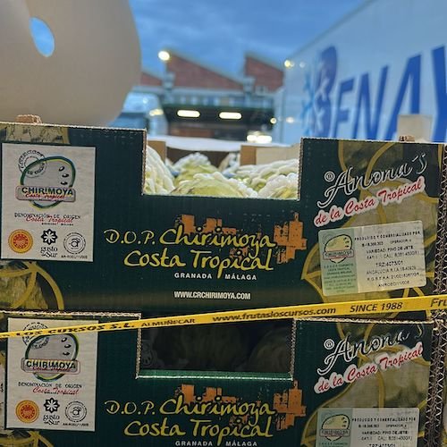 Chirimoya (Ongeveer 8 > 12 stuks / 3 kg) - Image 2