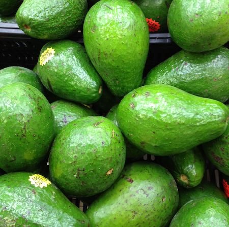 Avocados (Palta / Aguacate)