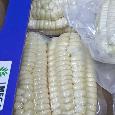 Choclo Peruano 2,5 kg