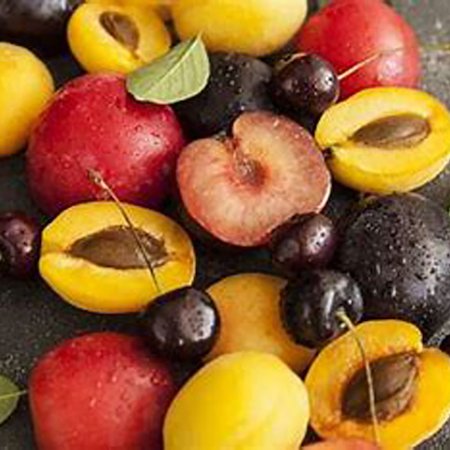 Steenvruchten (frutas de hueso)