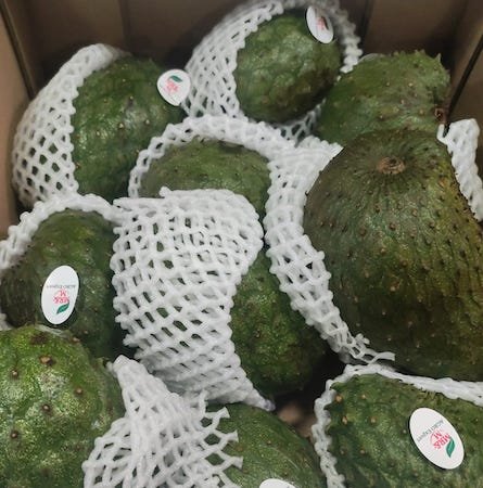 Peruaanse Baby Guanabana  4,5 kg