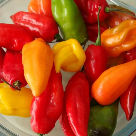 Pepers (Ajis , Rocotos)