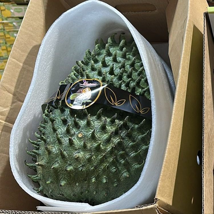 Guanabana uit Ecuador - Image 2