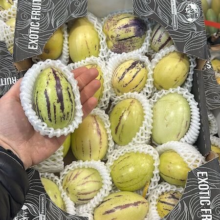Latijnmaericaanse Pepino Dulce 3 kg – Familia de las solanáceas 🌴