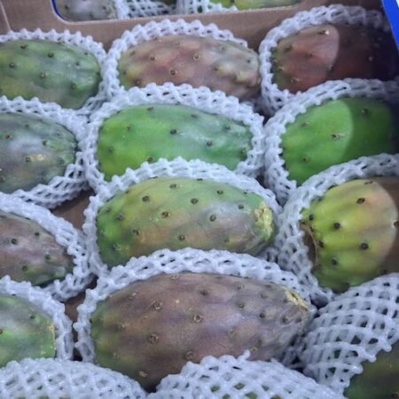 Tunas(cactus) 2.5 kg