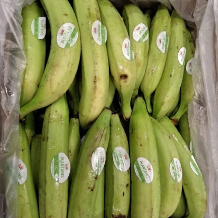 Ecuatoriaanse Bakbananen 22,7 kg