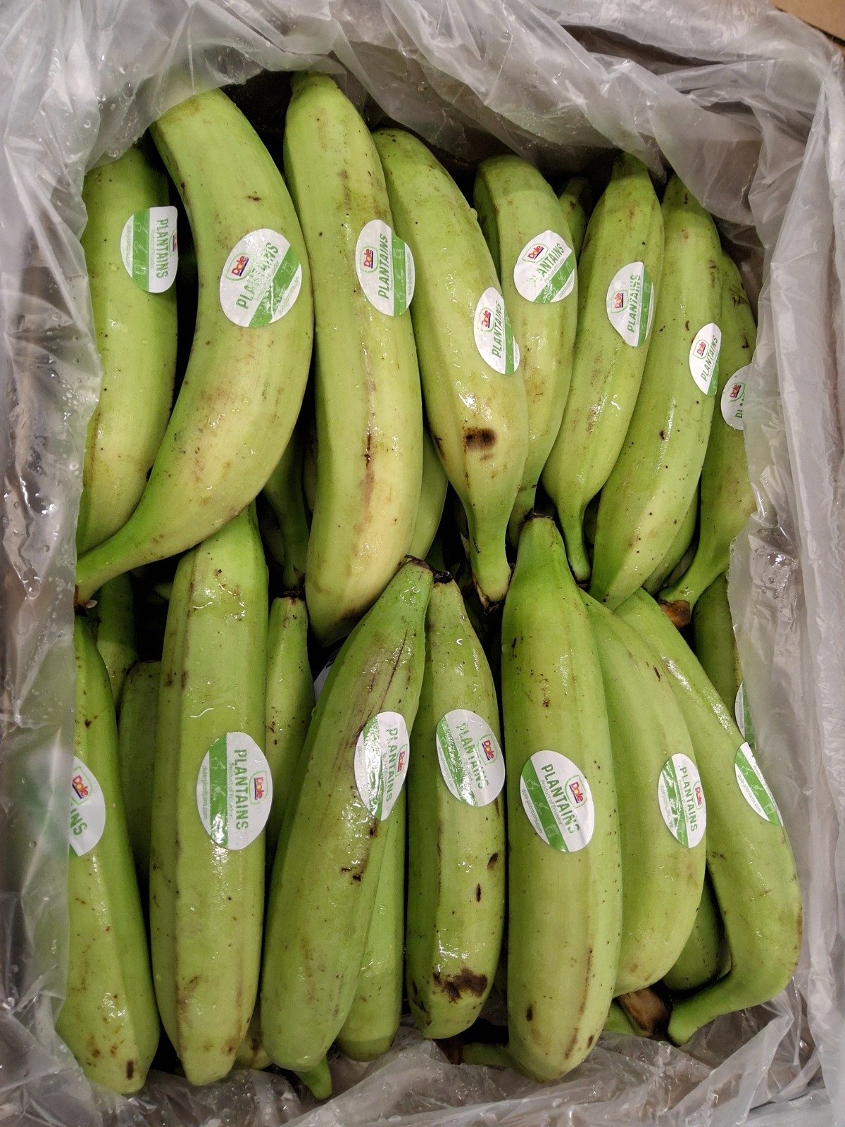 Ecuatoriaanse Bakbananen 22,7 kg