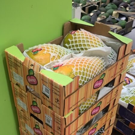 Braziliaanse Papaya Plump 4.5 kg (3 stuk)