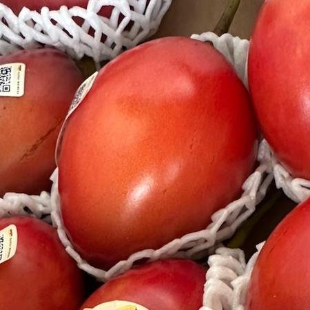 Colombiaanse Tomate de Arbol – Familia de las solanáceas 🌴