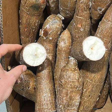 Roots / Raíces / Tubérculos