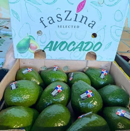 Domincaanse Avocados