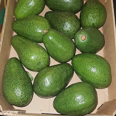 Peruaanse Avocados (Palta / Aguacate)