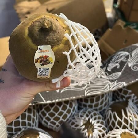 Ecuatoriaanse Zapote 4,5 kg (Mamey)