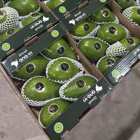 Brasiliaanse  Avocados 4 kg