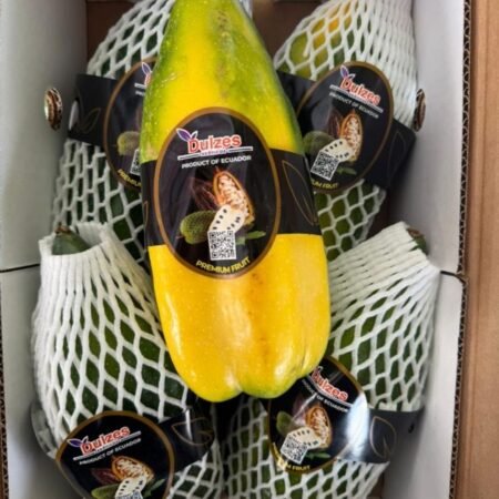 Ecuatoriaanse Babaco 2,5 kg (2 tot 4 stuk per doos)