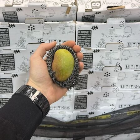 Colombiaanse  Mango Baby 2 kg (10 tot 15 stuk)