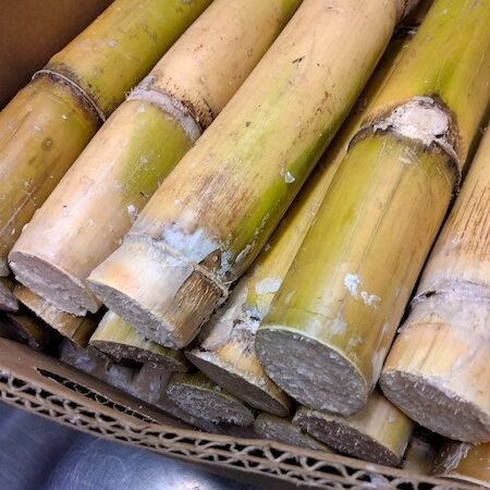 🎋 Caña de Azúcar Ecuatoriana – Dulzura natural  - 10 kg