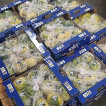 Geel Maracuya 2 kg (🍍 Frutas de la Pasión – sabor tropical que despierta tus sentidos 🌴)