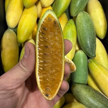Latijnamericaanse Curuba / Taxo / Tumbo  (Ongeveer 2 kg)