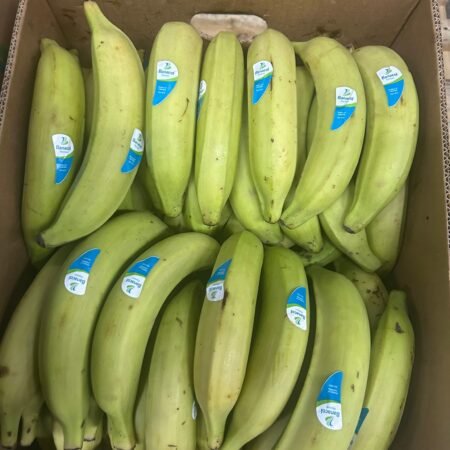 Colombiaanse Bakbananen 22,7 kg